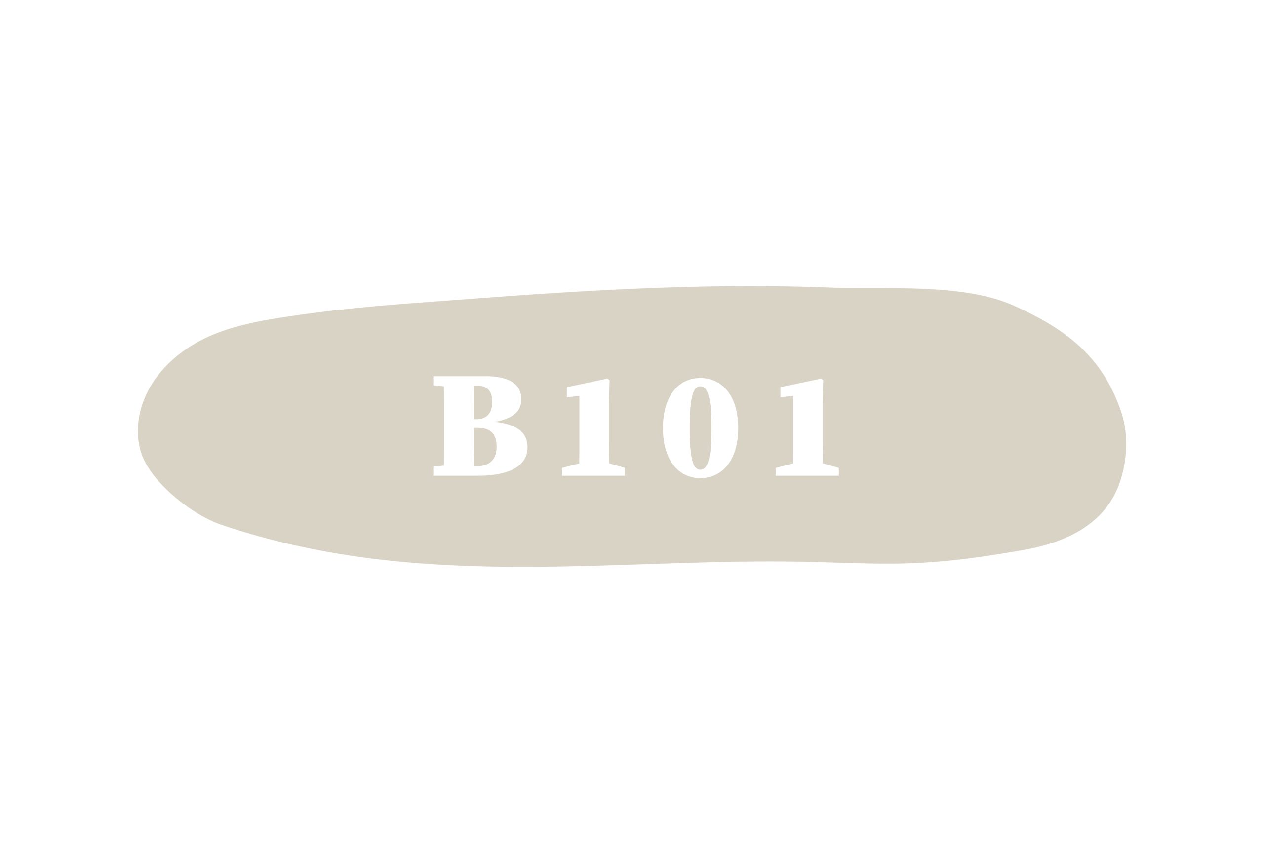 B101
